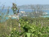 Lombardia Circle, St. James, Jamaica - Residential lot for Sale